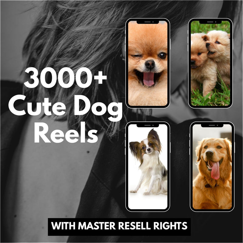 30000+ Faceless Luxury Reels Bundle | MMR/PLR |
