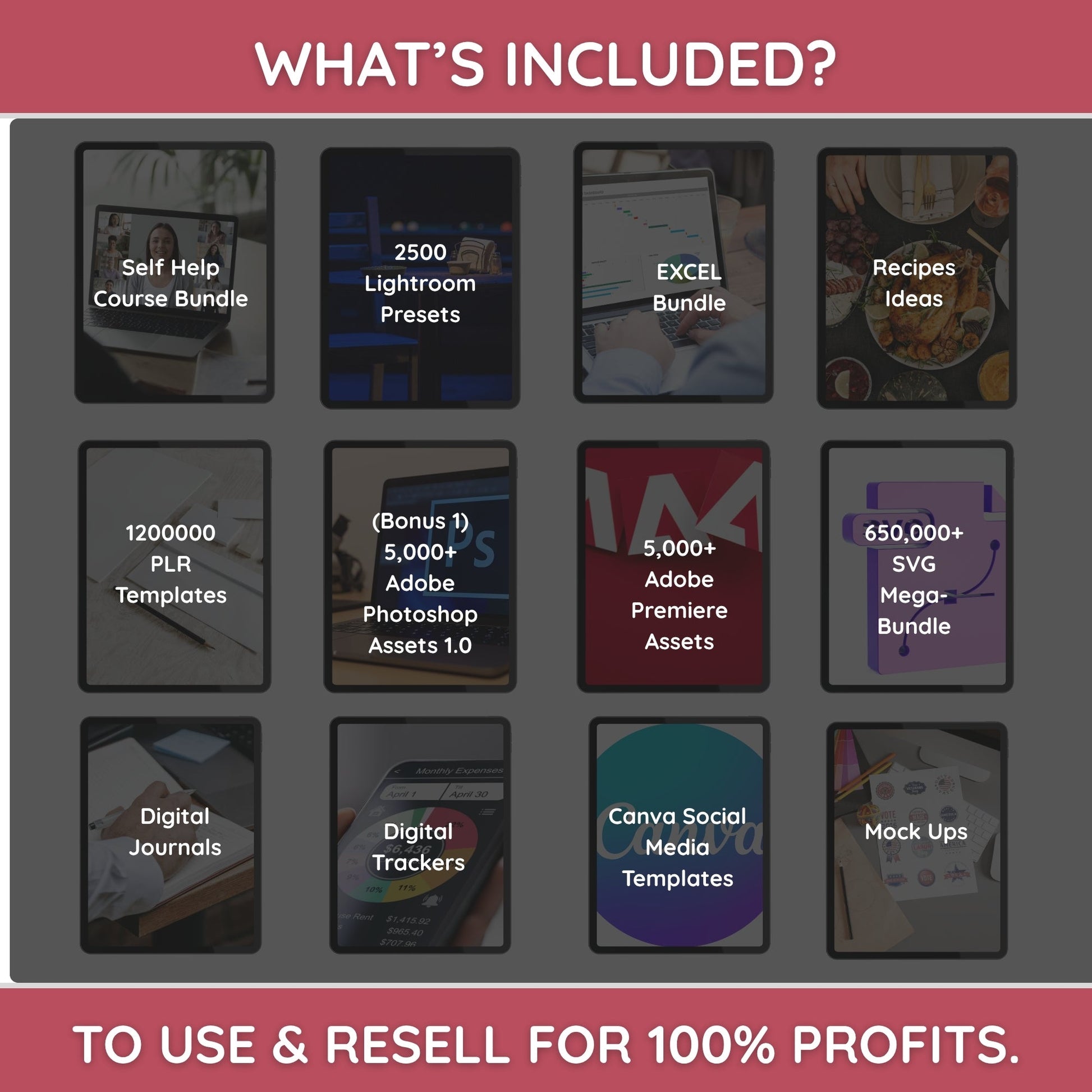 Digital assets bundle with PLR and master resale rights for entrepreneurs and agencies